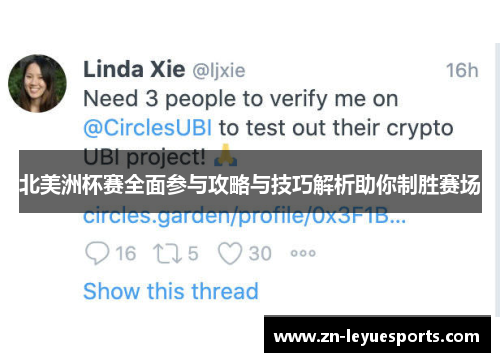 北美洲杯赛全面参与攻略与技巧解析助你制胜赛场