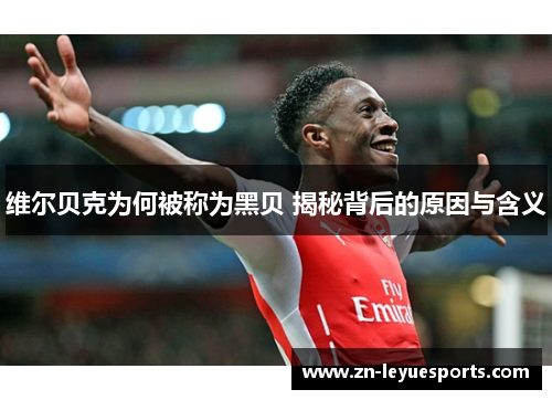 维尔贝克为何被称为黑贝 揭秘背后的原因与含义 维尔贝克为何被称为黑贝 揭秘背后的原因与含义