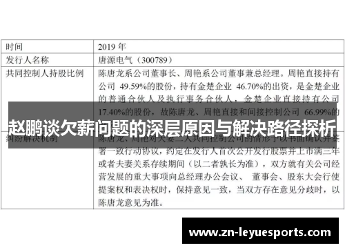 赵鹏谈欠薪问题的深层原因与解决路径探析 赵鹏谈欠薪问题的深层原因与解决路径探析