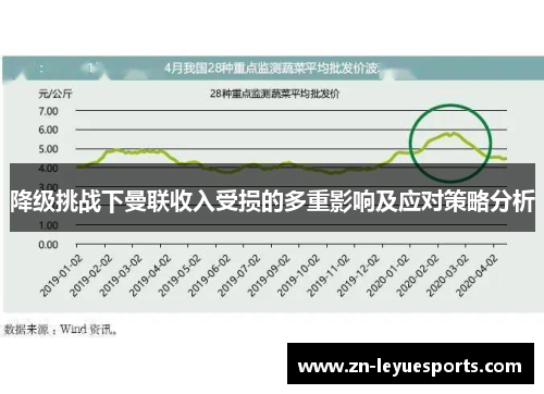 降级挑战下曼联收入受损的多重影响及应对策略分析
