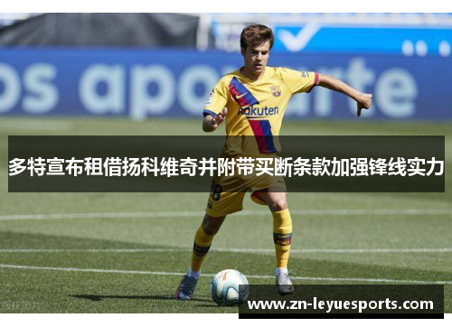 多特宣布租借扬科维奇并附带买断条款加强锋线实力