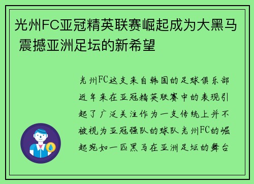 光州FC亚冠精英联赛崛起成为大黑马 震撼亚洲足坛的新希望